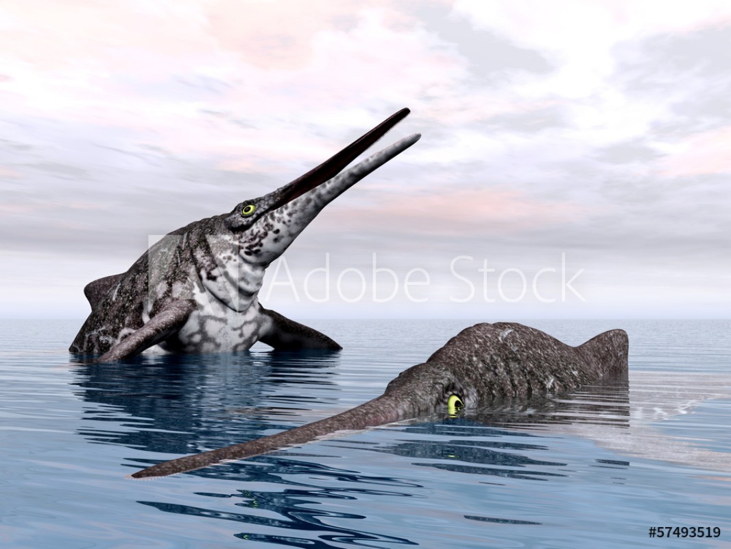 Afbeeldingen van Ichthyosaur Shonisaurus